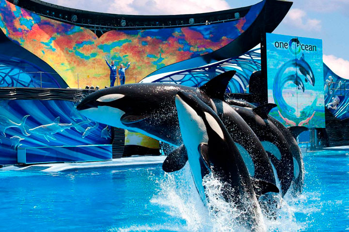 SeaWorld